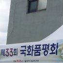 국화전시회(안양예술공원) 이미지