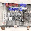 틈새라면(이천터미널점) | [서울 서초구] 틈새라면 파는 떡볶이집 - 석관동떡볶이 강남고속터미널점