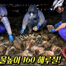 서울 경기 인천에서 40분거리 단속없고 물높이 160 해루질 이미지
