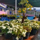 동진캐슬 이미지