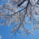 낙동강변로-3 이미지