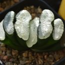 녹문농장 이미지