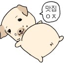 굴세상 강경점