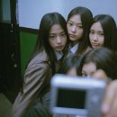 신디스 이미지