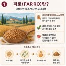 나산유통 | 파로효소 효능 먹는법 성분 부작용 추천 제품 비교