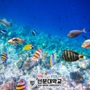 한국수산질병관리원 이미지