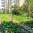 하늘내린골프랜드 이미지