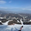 에이스렌탈 네이버블로그