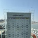 인천이 재밌다 | 꽃 보러 갔다가 스쿠터만 타고 온 서울근교 인천 신시모도 당일치기 여행 후기