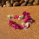 비스타 | 치앙마이 리조트, 완다 비스타 리조트 후기, 수영장 예쁜 숙소 추천