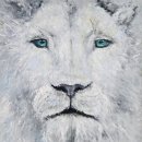 (주)신비로 이미지