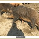 명준농장 이미지