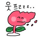 독크루북구점 이미지