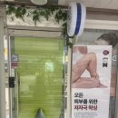 보르다 스튜디오