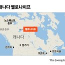 오로라양말 이미지