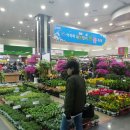 하나로공판장 - 미추홀구 경인로172번길 1 | 하나로공판장