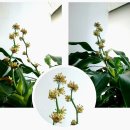 행운휴게실 이미지