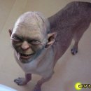 257 이미지