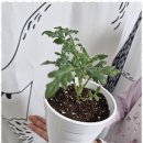 가람 태권도 이미지