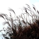 금오도황토민박 이미지