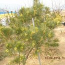 남송농장 이미지