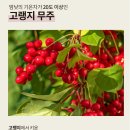평원건강식품