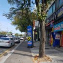 행운건강원 이미지