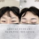 다를뷰티