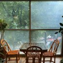 슬로울리인무학 이미지