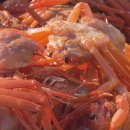 영덕식당 이미지
