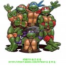 Ninja Turtle Teenage Mutant 이미지