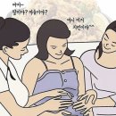 스타하우스주