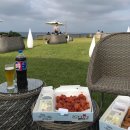 다모리네 이미지