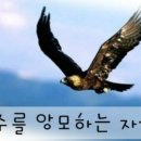 제107차 찬양과제곡(2020/8/1~8/31) 주를 앙모하는 자(B) 이미지