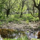 운곡자연체험학습장 이미지