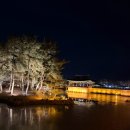 만석지기 - 서구 군분2로 5 | 🌙 경주 야경 투어(Lite) 후기: 천년 고도의 밤을 걷다
