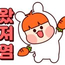 포르비치도로