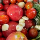 매봉농장 이미지