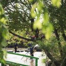 순천만국가정원 이미지