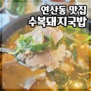 수복돼지국밥 연산점 | 연산동 돼지국밥 맛집 밥집 수복돼지국밥 현지인맛집 내돈내산 솔직후기