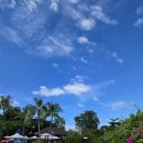 행운스카이.웨딩 | 세부 자유여행패키지 커플여행 완벽했던 세부 현지 투어 후기 3박5일 예산 비용