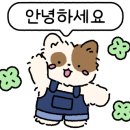 신정희춘천숯불닭갈비 이미지