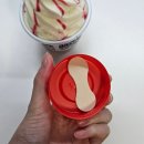 설아아이스크림수지