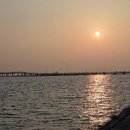 마리해물칼국수 | 시흥 거북섬 맛집| 강도령막칼국수 해물칼국수 후기