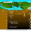 휴믹산과 석탄의 생성 이미지