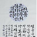 사파동264 이미지