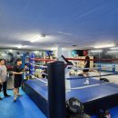 YC복싱클럽 이미지