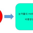 봉식동물병원 이미지
