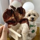 해피몽스데이 이미지