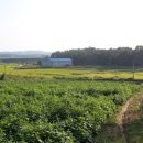 소망2농장 이미지